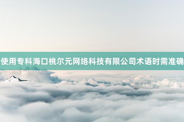 使用专科海口桃尔元网络科技有限公司术语时需准确