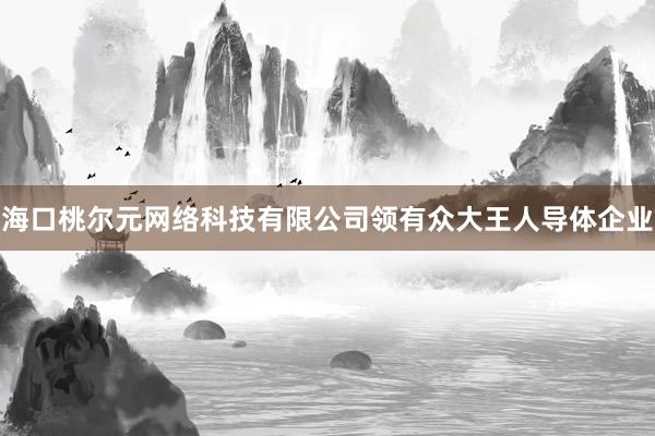 海口桃尔元网络科技有限公司领有众大王人导体企业