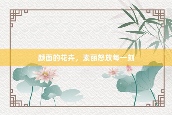 颜面的花卉，素丽怒放每一刻
