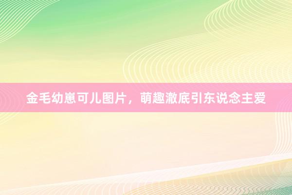 金毛幼崽可儿图片，萌趣澈底引东说念主爱
